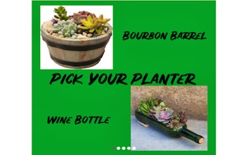 Plant Nite: Bourbon Barrel or Wine Bottle